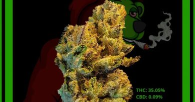airheads by paradiso gardens strain review by norcalcannabear