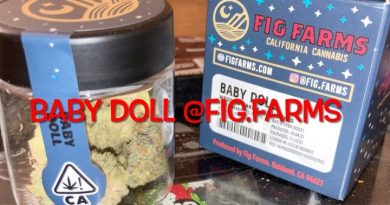 baby doll by fig farms strain review by sjweedreview