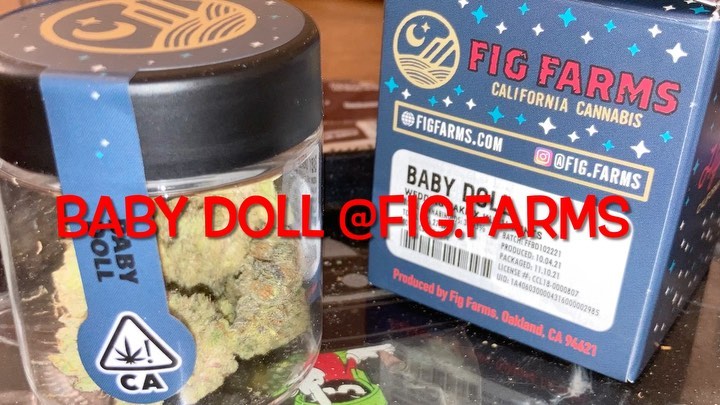 baby doll by fig farms strain review by sjweedreview