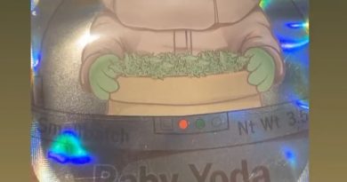 baby yoda by growndank strain review by sjweedreview