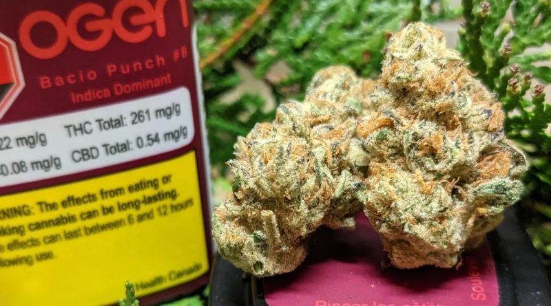 bacio punch #8 by ogen strain review by terple grapes