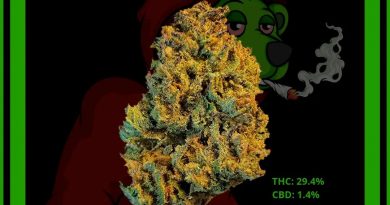 chile verde by brite labs strain review by norcalcannabear