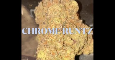 chrome runtz by jgrapes farms strain review by sjweedreview