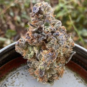 dillinger by genesis bioceuticals strain review by slumpysmokes 2