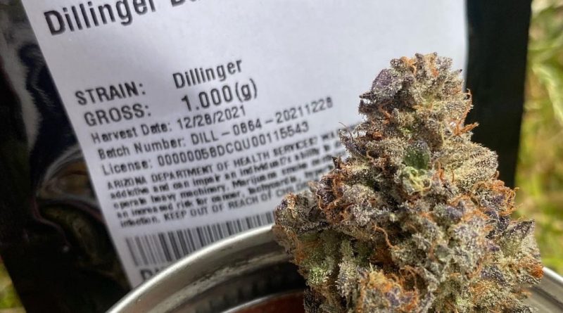 dillinger by genesis bioceuticals strain review by slumpysmokesdillinger by genesis bioceuticals strain review by slumpysmokes