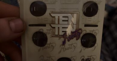 domino runtz by the tenco x runtz strain review by pressurereviews