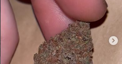 fruity pebbles by blackleaf strain review by pressurereviews