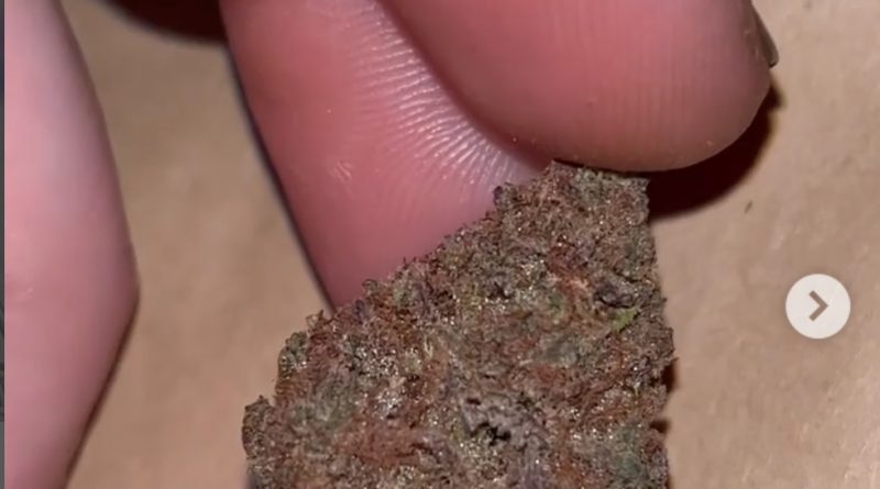 fruity pebbles by blackleaf strain review by pressurereviews