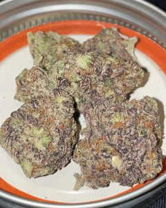gary bird by infamous farms strain review by toptierterpsma