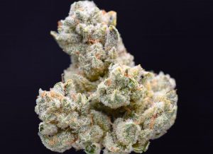 gaz by seven leaves strain review by citylimitreviews 3