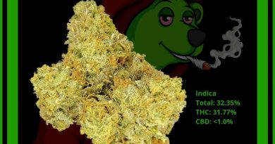 ginseng og by icannic strain review by norcalcannabear