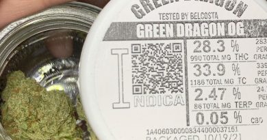 green dragon og by green dragon strain review by og kush hunter