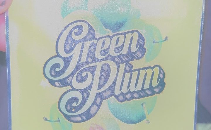 green plum by white smoke strain review by pressurereviews