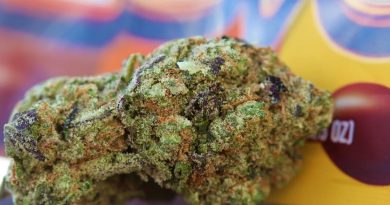 levels by the tenco strain review by cannasaurus_rex_reviews