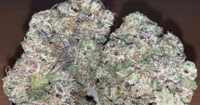 mac stomper by rosebud growers strain review by pnw_chronic