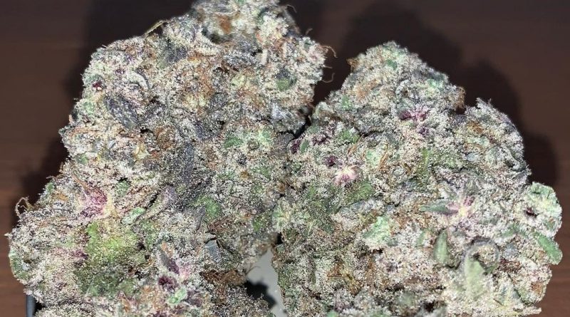 mac stomper by rosebud growers strain review by pnw_chronic