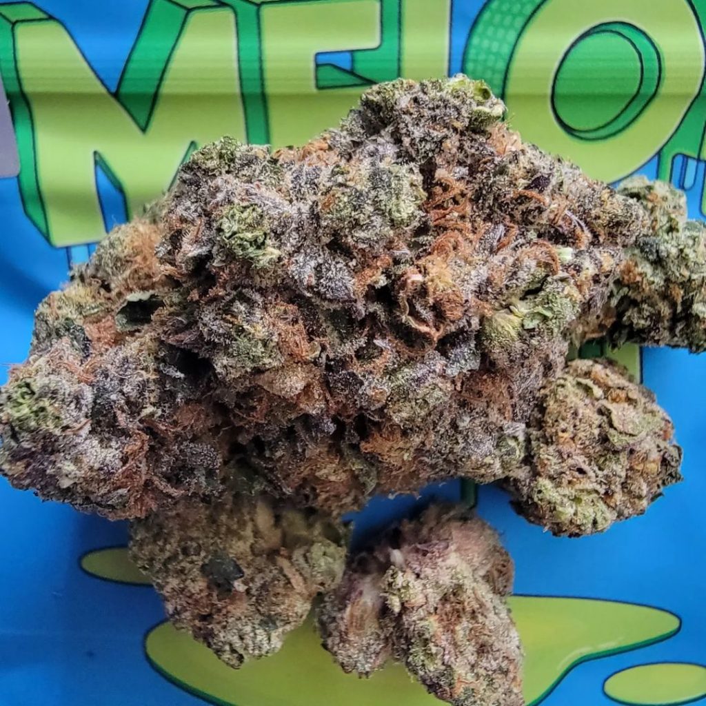 Strain Review Melon Bar by Cookies Enterprises The Highest Critic