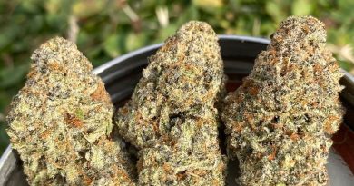 mendo breathe by johnnyappleseeds strain review by slumpysmokes