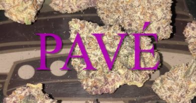 pave by cookies enterprises strain review by sjweedreview