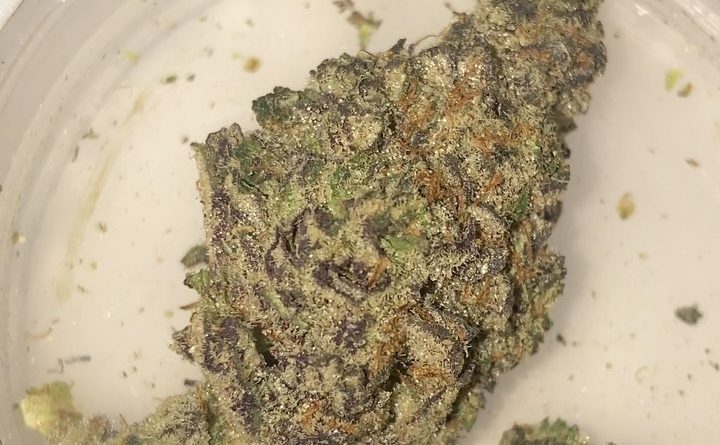 peanut butter truffle by jgrapes farms strain review by sjweedreview