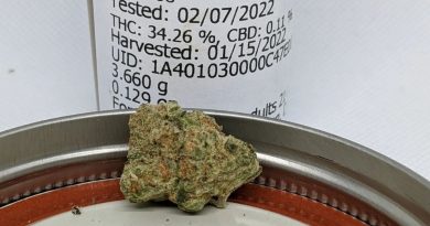 pecan pie by urban canna strain review by pdxstoneman