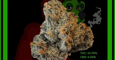 slow lane by connected cannabis co strain review by norcalcannabear