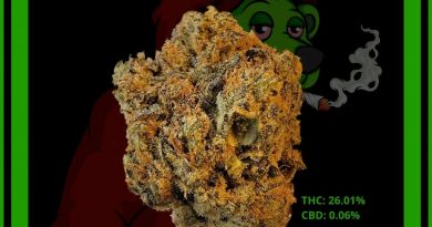 s'mores by stiiizy strain review by norcalcannabear
