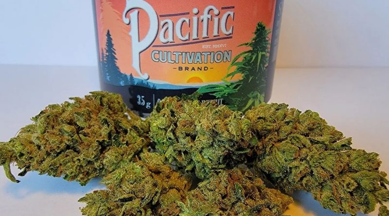 snickerdoodles by pacific cultivation strain review by norcalcannabear