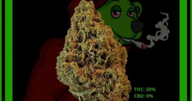 strawberry papaya by gold moon farms strain review by norcalcannabear