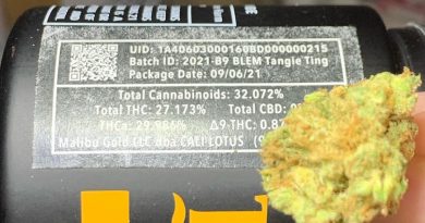tangie ting by blem x cali lotus strain review by og kush hunter