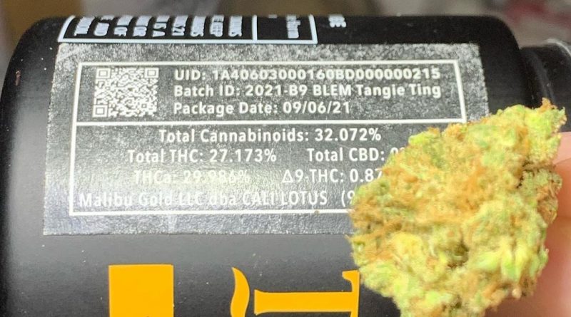 tangie ting by blem x cali lotus strain review by og kush hunter