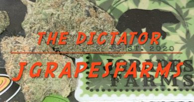 the dictator by jgrapes farms strain review by sjweedreview