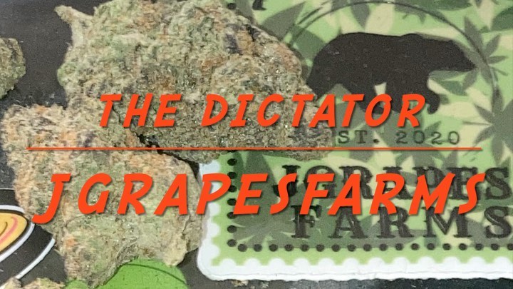 the dictator by jgrapes farms strain review by sjweedreview