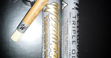 triple og infused wood tip preroll by weedwoodz review by stoneybearreviews