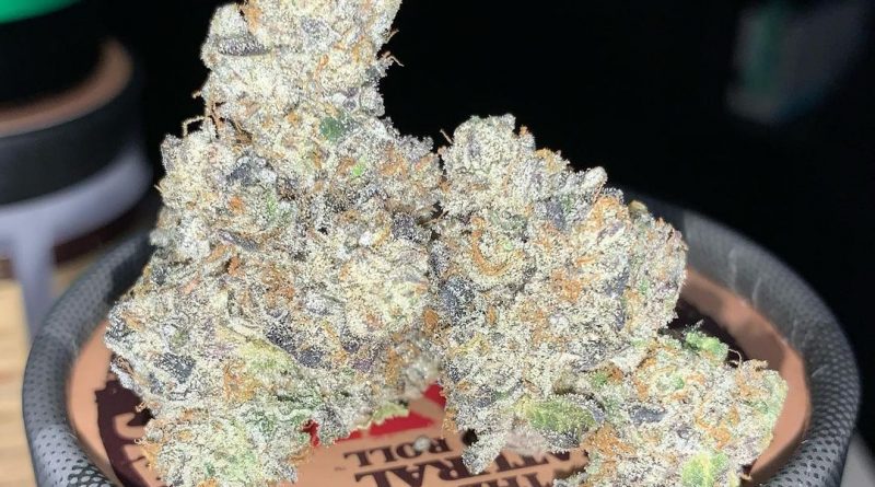 waffle cone by trichome farms cultivar review by pnw_chronic