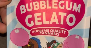 white bubblegum gelato by backpack boyz strain review by pressurereviews