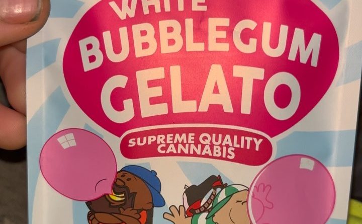 white bubblegum gelato by backpack boyz strain review by pressurereviews