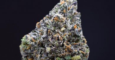 zruntz by seven leaves strain review by citylimitreviews
