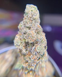zuyaqui by the real mccoy strain review by pnw_chronic