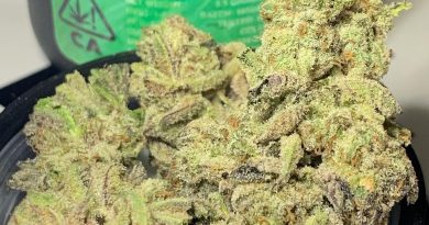 apple fritter by fresh baked strain review by ogkush_or_nah