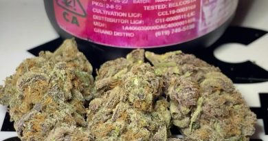 cherry cookie cake by fresh baked strain review by ogkush_or_nah
