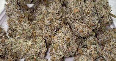 cocobamba by certified cultivators strain review by bakers_420_review