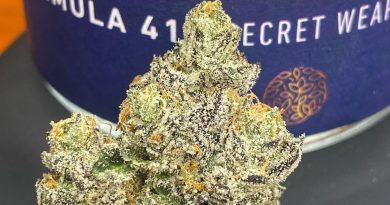 formula 41 by cam strain review by cali_bud_reviews