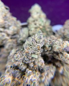 layer cake by louis vuchron strain review by pnw_chronic 2