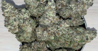 layer cake by louis vuchron strain review by pnw_chronic