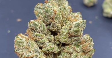 lemon fuel og by connected ca strain review by cali_bud_reviews