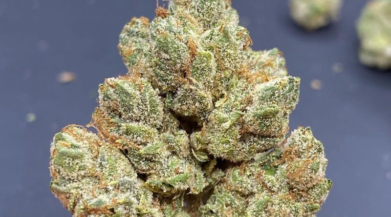lemon fuel og by connected ca strain review by cali_bud_reviews