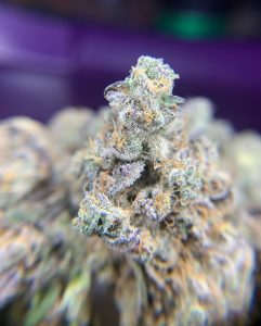 mitten cake batter by louis vuchron strain review by pnw_chronic 2