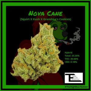 nova cane from lytt strain review by norcalcannabear 2