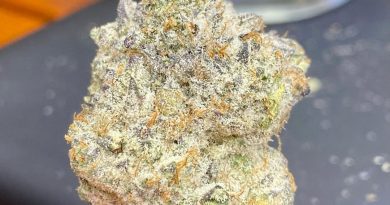 oreo by white rabbit cannabis strain review by cali_bud_reviews